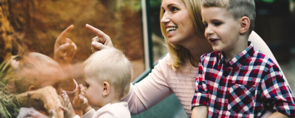 parc animalier en bourgogne