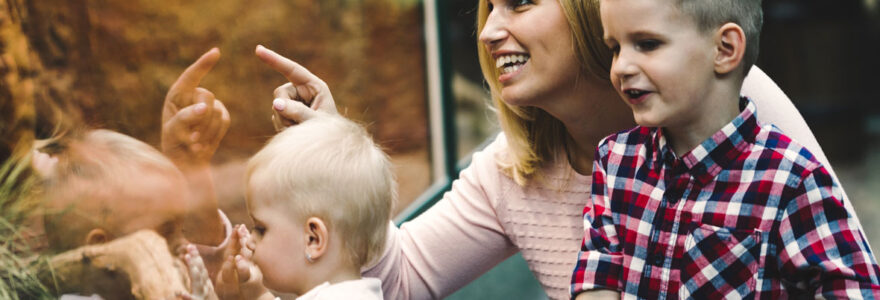 parc animalier en bourgogne